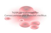 Tejido hematopoyetico en diabetes m.