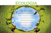 Ecología, Endemismo y Energías renovables