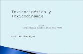 Toxicocinética y toxicodinamia