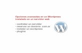 Opciones avanzadas de Wordpress