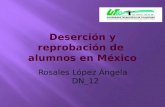 Deserción y reprobación de  alumnos en méxico 013