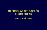 Microplanificación curricular