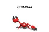 Zoologia crustaceos