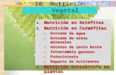 10   nutrición vegetal - 11-12