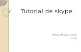 Manual de skype.