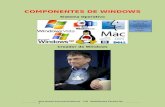 Componentes De Windows