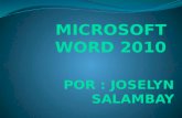 Presentacion Microsoft Word Joselyn Salambay