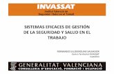 ULLDEMOLINS SALVADOR F (2012) Sistemas eficaces de gestión de la seguridad y salud en el trabajo