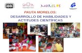 Blog Pauta Morelos 09