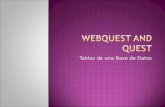 C:\fakepath\web quest and quest