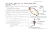 Anatomia Pleura y Mecanica Respiratoria
