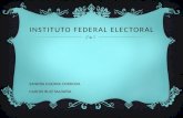 Instituto federal electoral
