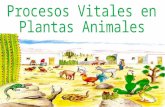 Procesos vitales en Plantas y Animales con audio