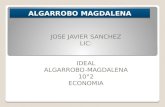 Algarrobo magdalena
