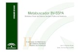 Metabuscador BV-SSPA
