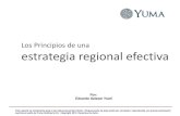 Dr Eduardo Salazar, Estrategia Regional Comisiones