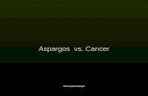 Aspargos vs cancer [em portugues] (por: carlitosrangel)