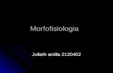 Morfofisiologia trabajo