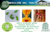 Infección del tracto urinario 2014