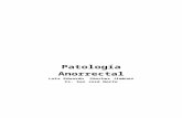 (2012-06-14) Patología anorrectal (doc)