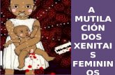 A mutilacion dos xenitais femininos