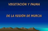 Flora y fauna de la Región de Murcia