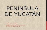 Península de Yucatán Gastronomia