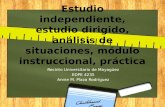 Estudio Independiente, Estudio Dirigido, Análisis de Situaciones y Módulo Instruccional