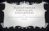 Las Plataformas Virtuales Educativas