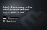 IAB Mexico Segmento Mamas Digitales
