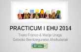 Practicum-I- EHU 2014