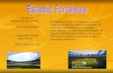 Estadios Fortaleza y Salvador. Mundial 2014 (Arrighi y Ragone)