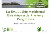 Mesa Redonda Ley Evaluación Ambiental. Draba: Análisis de procedimientos: la Evaluación Ambiental Estratégica de Planes y Programas