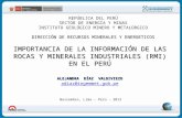 Importancia de la información de las rocas y minerales industriales (RMI) en el Perú