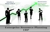 Enterprise resource planning   ERP