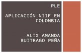 ADOPCION NIIF EN COLOMBIA (Unidad 3 PLE)