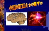 Cerebro y mente - Psicología Médica