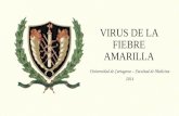 VIRUS DE LA FIEBRE AMARILLA