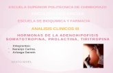 Presentacion clinicos somatropina -prolactina