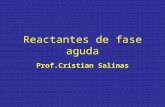 Reactantes De Fase Aguda Presentacion Cristian Salinas