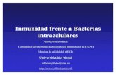 Sistema Inmune e Infeccion: Bacterias intracelulares