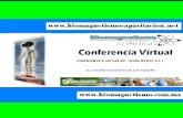 Diapositivas Conferencia Virtual Ene10
