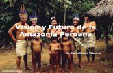 Semana 2   2  la amazonia peruana vision y futuro