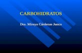 3.  carbohidratos