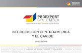 oportunidades comerciales en centroamerica sur agroindustria