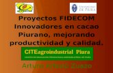Proyectos FIDECOM Innovadores en cacao piurano, mejorando productividad y calidad