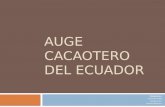 Auge cacaotero del ecuador