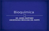 Tema 1 Generalidades de bioquimica, aminoacidos proteinas y Enzimas