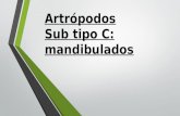 Artropodos 2da parte mandibulados
