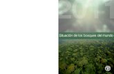 Fao  informe situacion de los bosques en el mundo 2011
